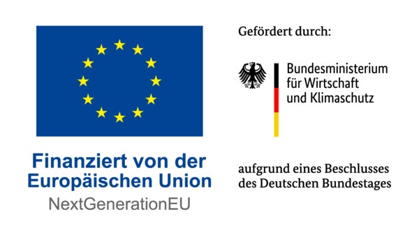 BMWK Logo and EU Flag